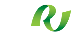 Rinkven